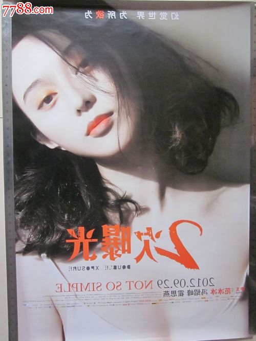 仿制阿根廷护照
